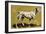 Dalmation Dog-English School-Framed Giclee Print