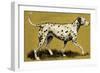 Dalmation Dog-English School-Framed Giclee Print