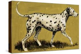 Dalmation Dog-English School-Stretched Canvas