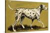 Dalmation Dog-English School-Stretched Canvas