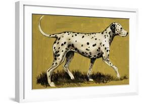 Dalmation Dog-English School-Framed Giclee Print