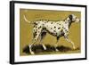 Dalmation Dog-English School-Framed Giclee Print