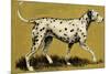 Dalmation Dog-English School-Mounted Giclee Print