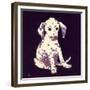 Dalmation Puppy, 1950s-George Adamson-Framed Giclee Print