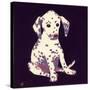 Dalmation Puppy, 1950s-George Adamson-Stretched Canvas