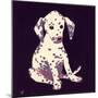 Dalmation Puppy, 1950s-George Adamson-Mounted Premium Giclee Print