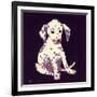 Dalmation Puppy, 1950s-George Adamson-Framed Giclee Print