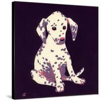 Dalmation Puppy, 1950s-George Adamson-Stretched Canvas