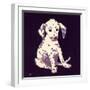 Dalmation Puppy, 1950s-George Adamson-Framed Giclee Print