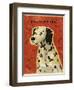 Dalmation-John W Golden-Framed Giclee Print