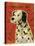 Dalmation-John W Golden-Stretched Canvas