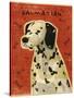 Dalmation-John W Golden-Stretched Canvas