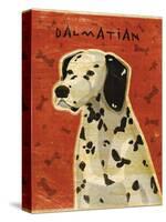 Dalmation-John W Golden-Stretched Canvas