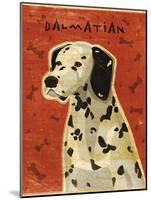 Dalmation-John W Golden-Mounted Giclee Print