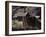 Dalton, Colorado, USA-null-Framed Photographic Print