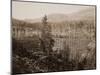 Dam and Lake, Nevada County, California, Near View, about 1871-Carleton Watkins-Mounted Art Print