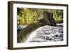 Dam and Waterfall on Speedwell Lake During Autumn, New Jersey-George Oze-Framed Photographic Print