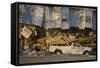 Damage Caused to House-John Cancalosi-Framed Stretched Canvas