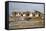 Damage Caused to Houses by Hurricane Katrina-John Cancalosi-Framed Stretched Canvas