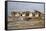 Damage Caused to Houses by Hurricane Katrina-John Cancalosi-Framed Stretched Canvas