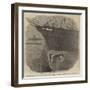 Damaged Bow of the Screw-Collier Haswell after the Fatal Collision Off the Suffolk Coast-null-Framed Giclee Print