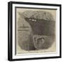 Damaged Bow of the Screw-Collier Haswell after the Fatal Collision Off the Suffolk Coast-null-Framed Giclee Print