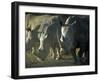 Damaraland, White Rhinoceros, Namibia-Mark Hannaford-Framed Photographic Print