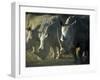 Damaraland, White Rhinoceros, Namibia-Mark Hannaford-Framed Photographic Print