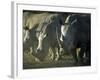 Damaraland, White Rhinoceros, Namibia-Mark Hannaford-Framed Photographic Print