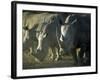 Damaraland, White Rhinoceros, Namibia-Mark Hannaford-Framed Photographic Print