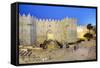 Damascus Gate, Old City, UNESCO World Heritage Site, Jerusalem, Israel, Middle East-Gavin Hellier-Framed Stretched Canvas