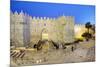 Damascus Gate, Old City, UNESCO World Heritage Site, Jerusalem, Israel, Middle East-Gavin Hellier-Mounted Photographic Print