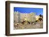 Damascus Gate, Old City, UNESCO World Heritage Site, Jerusalem, Israel, Middle East-Gavin Hellier-Framed Photographic Print