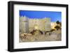 Damascus Gate, Old City, UNESCO World Heritage Site, Jerusalem, Israel, Middle East-Gavin Hellier-Framed Photographic Print