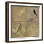 Damask Birds-Andrew Michaels-Framed Art Print