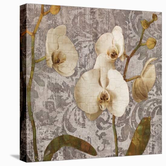 Damask Blooms II-Tania Bello-Stretched Canvas