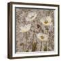 Damask Blooms III-Tania Bello-Framed Giclee Print