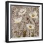 Damask Blooms III-Tania Bello-Framed Giclee Print