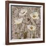 Damask Blooms III-Tania Bello-Framed Giclee Print