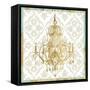 Damask Chandelier II-Jennifer Goldberger-Framed Stretched Canvas