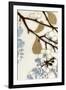 Damask Cherry Blossoms 1-Norman Wyatt Jr.-Framed Art Print