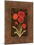 Damask Poppy-Paul Brent-Mounted Art Print