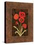 Damask Poppy-Paul Brent-Stretched Canvas