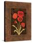 Damask Poppy-Paul Brent-Stretched Canvas