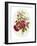 Damask Rose, Collection of Flowers Drawn and Disposed in an Ornamental and Picturesque Manner-John Edwards-Framed Giclee Print