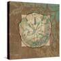 Damask Shell 2-Diane Stimson-Stretched Canvas