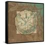 Damask Shell 2-Diane Stimson-Framed Stretched Canvas