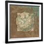 Damask Shell 2-Diane Stimson-Framed Art Print