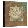 Damask Shell 2-Diane Stimson-Stretched Canvas