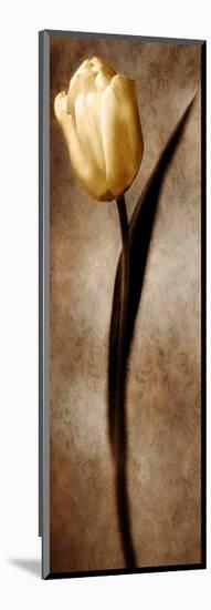 Damask Tulip II-Christine Zalewski-Mounted Premium Giclee Print